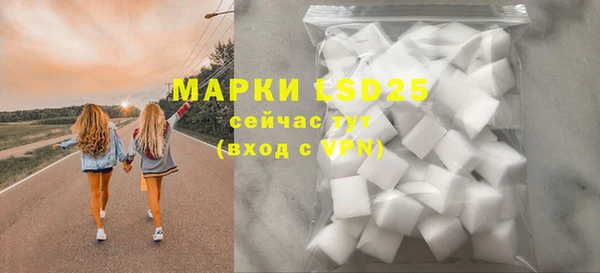 крисы Липки