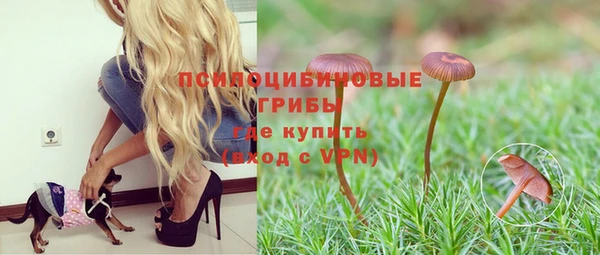 соль ск Майский