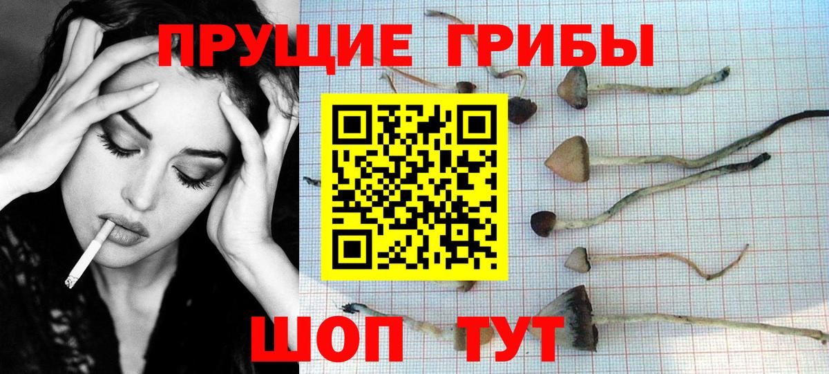 Галлюциногенные грибы прущие грибы  Псилоцибиновые грибы ЛСД  Новый Уренгой  Вход с VPN 