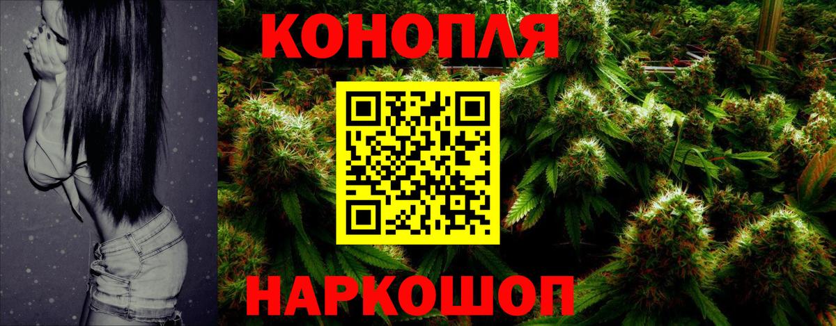 Марихуана план  Каннабис планчик  Конопля индика  Вход с VPN  Канабис индика  Новый Уренгой 
